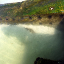 GulfOfMexicohalfwaycovered-1-1024x768-1 GulfOfMexicohalfwaycovered-1-1024x768-1