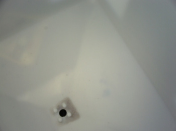 Smoother IBC Interior