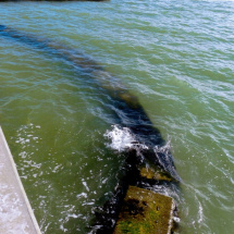 gulfofmexico3 gulfofmexico3