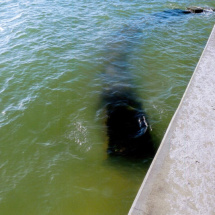 gulfofmexico9 gulfofmexico9