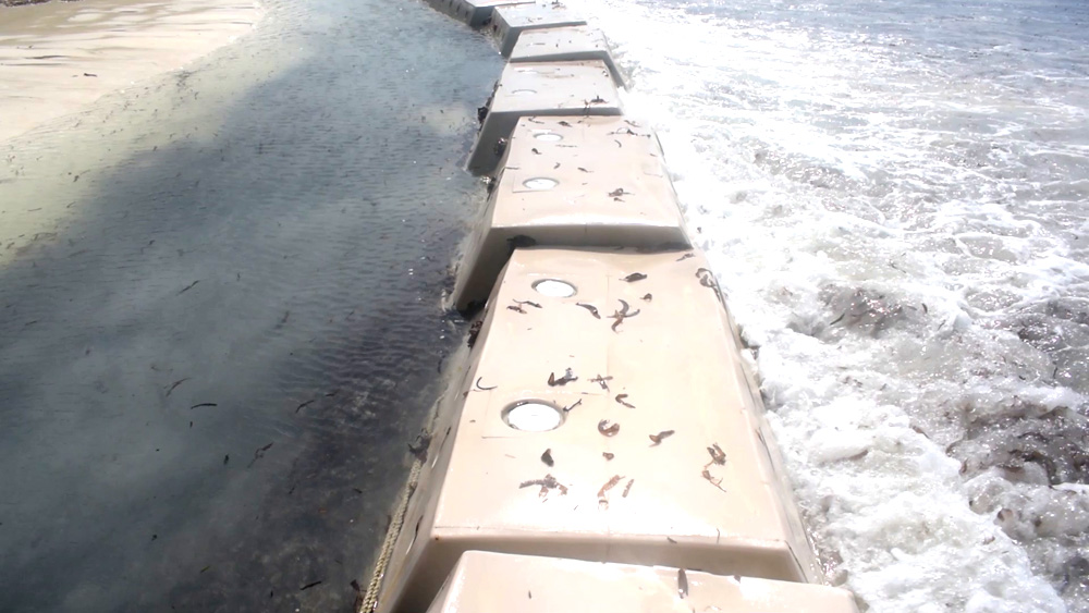 Sandsaver Beach Erosion Solution installed in Ocean